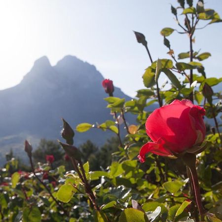 Hostal Rural Cal Xic Saldes Bagian luar foto